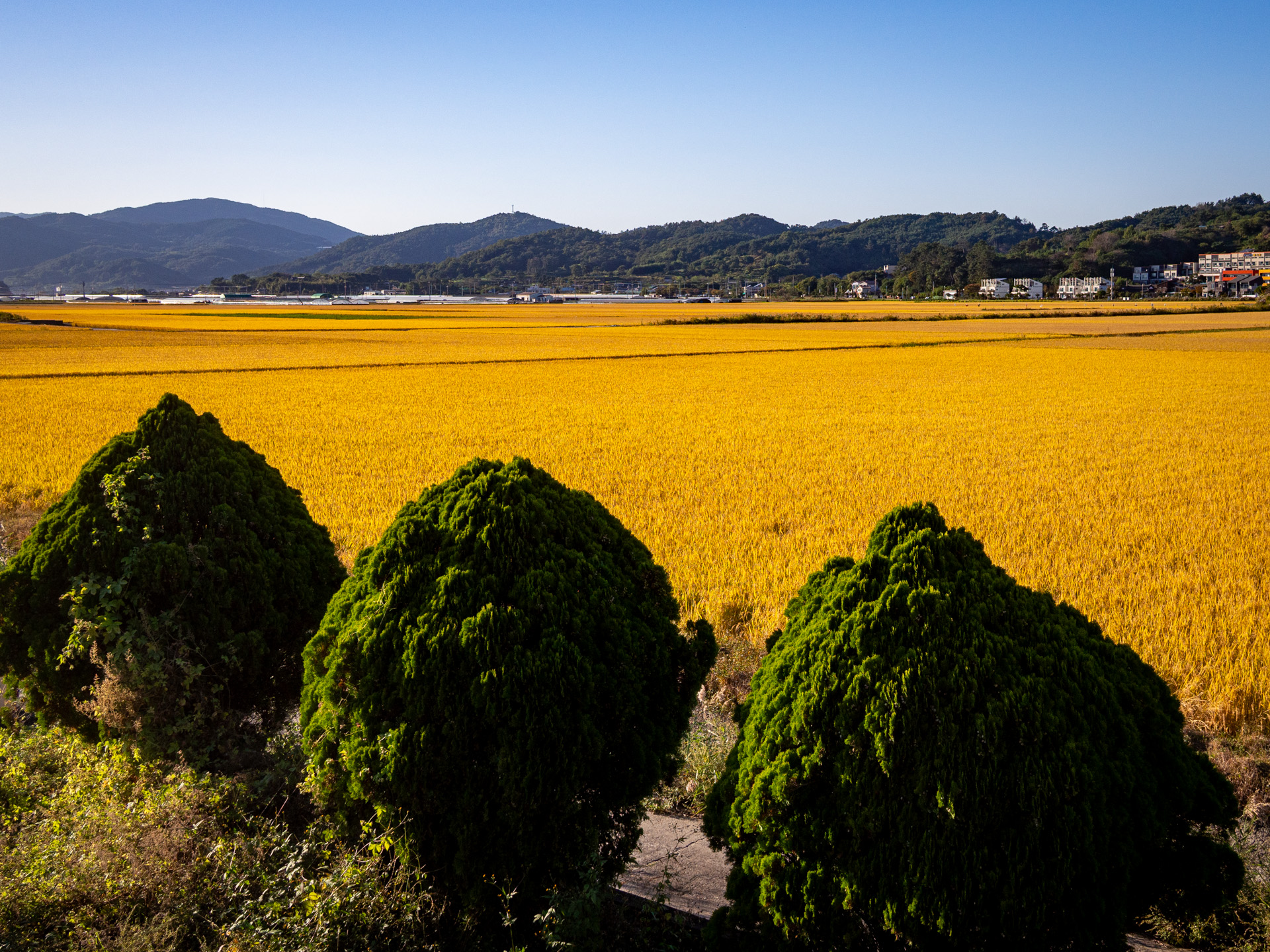 South Korea
